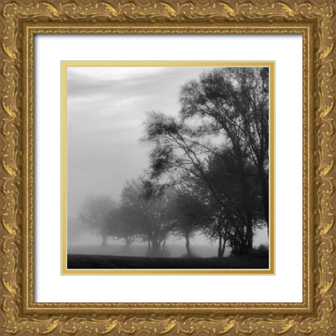 Fog Through the Trees II Gold Ornate Wood Framed Art Print with Double Matting by Romita, Denise
