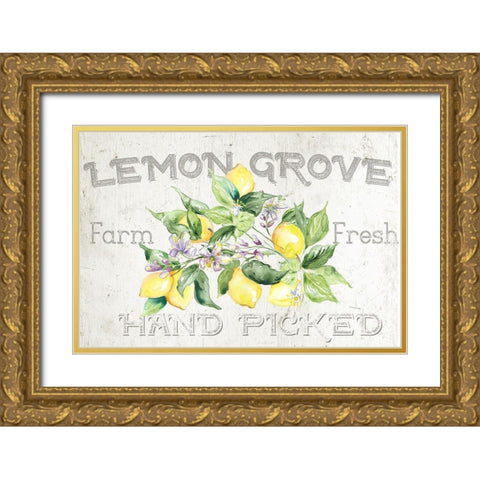 Lemon  Grove I Gold Ornate Wood Framed Art Print with Double Matting by Tre Sorelle Studios