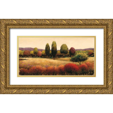 Vista Gold Ornate Wood Framed Art Print with Double Matting by Wiens, James