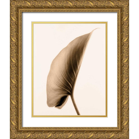 Alocasia 1 Gold Ornate Wood Framed Art Print with Double Matting by Greenwood, Julie