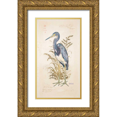 Tricolor Heron Gold Ornate Wood Framed Art Print with Double Matting by Barrett, Chad