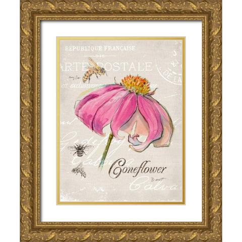 Sketchbook Coneflower  Gold Ornate Wood Framed Art Print with Double Matting by Barrett, Chad