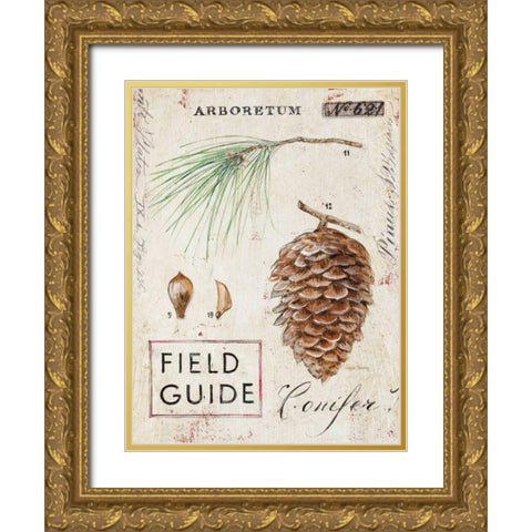Natures Pinecone Gold Ornate Wood Framed Art Print with Double Matting by Staehling, Angela