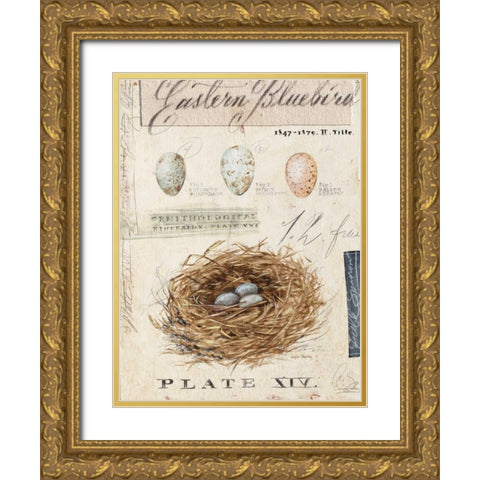 Natures Nest Gold Ornate Wood Framed Art Print with Double Matting by Staehling, Angela