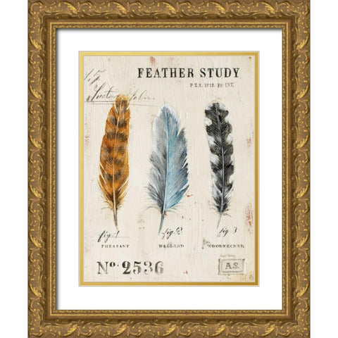 Natures Feathers Gold Ornate Wood Framed Art Print with Double Matting by Staehling, Angela