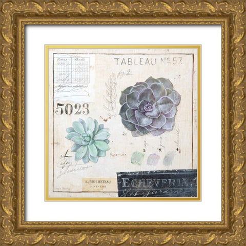 Echeveria-Sketchbook Gold Ornate Wood Framed Art Print with Double Matting by Staehling, Angela