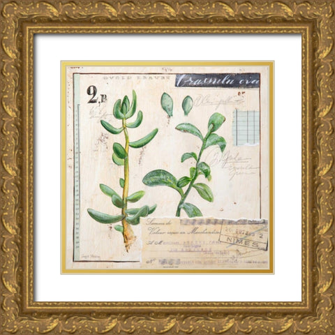 Jade-Sketchbook Gold Ornate Wood Framed Art Print with Double Matting by Staehling, Angela