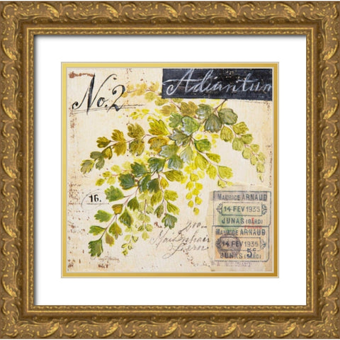 Maidenhair Fern-Sketchbook Gold Ornate Wood Framed Art Print with Double Matting by Staehling, Angela