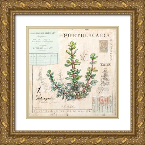 Portulacaria-Sketchbook Gold Ornate Wood Framed Art Print with Double Matting by Staehling, Angela