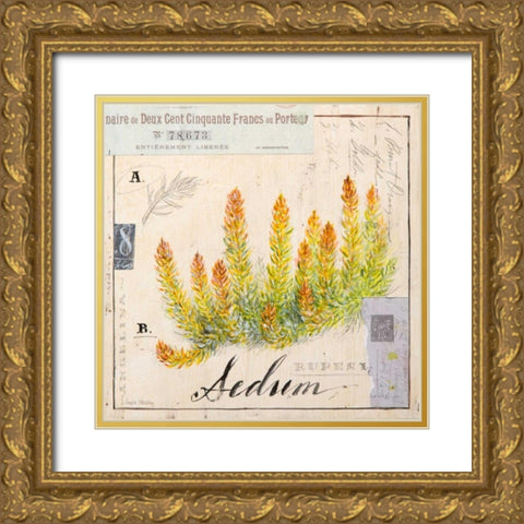 Sedium-Sketchbook Gold Ornate Wood Framed Art Print with Double Matting by Staehling, Angela