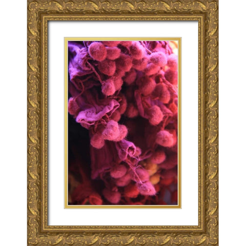 Global Pinks 1 Gold Ornate Wood Framed Art Print with Double Matting by Rauscher, Michel