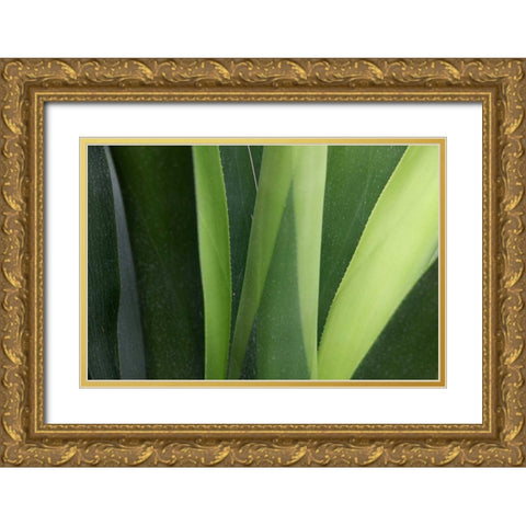 Fresh Green 4 Gold Ornate Wood Framed Art Print with Double Matting by Rauscher, Michel