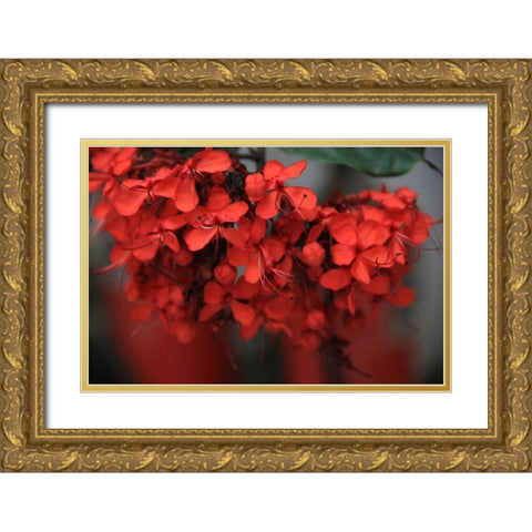 Red Autumn 1 Gold Ornate Wood Framed Art Print with Double Matting by Rauscher, Michel