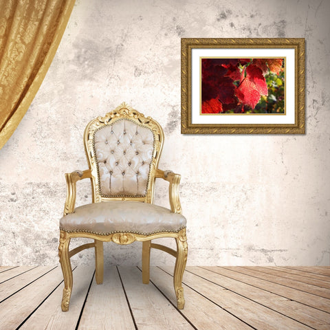 Red Autumn 4 Gold Ornate Wood Framed Art Print with Double Matting by Rauscher, Michel