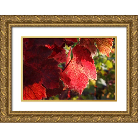 Red Autumn 4 Gold Ornate Wood Framed Art Print with Double Matting by Rauscher, Michel