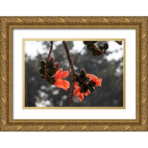 Global Vessel 1 Gold Ornate Wood Framed Art Print with Double Matting by Rauscher, Michel