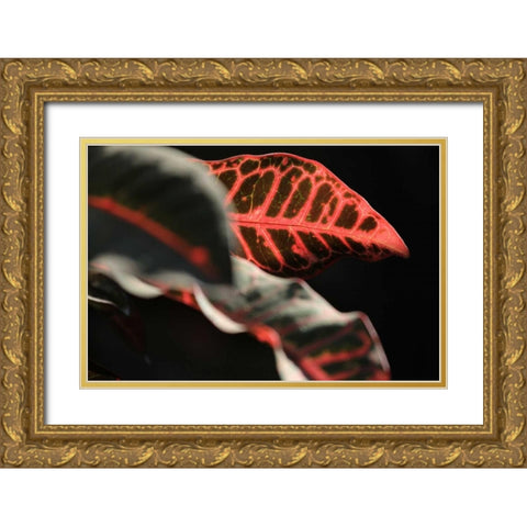 Global Vessel 4 Gold Ornate Wood Framed Art Print with Double Matting by Rauscher, Michel