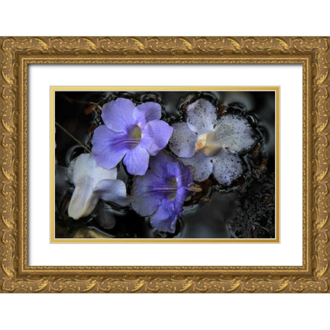 Floral Pond 2 Gold Ornate Wood Framed Art Print with Double Matting by Rauscher, Michel