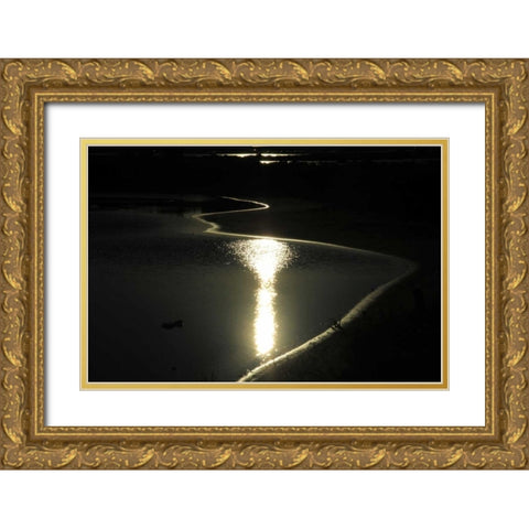 Moonlight Enchantment 2 Gold Ornate Wood Framed Art Print with Double Matting by Rauscher, Michel
