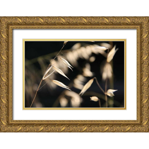 Moonlight Enchantment 3 Gold Ornate Wood Framed Art Print with Double Matting by Rauscher, Michel