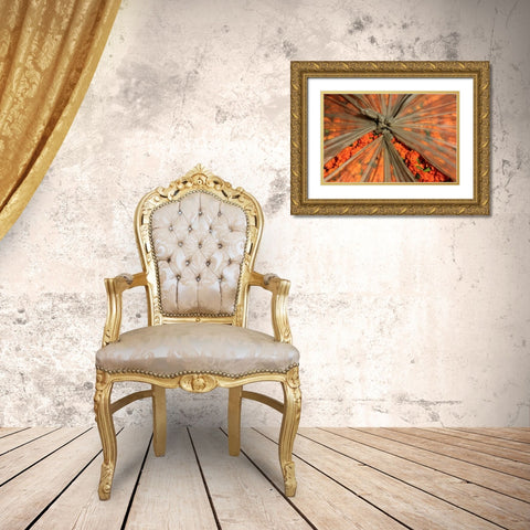 Global Orange 3 Gold Ornate Wood Framed Art Print with Double Matting by Rauscher, Michel