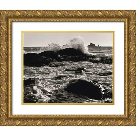 Roar of the Ocean Gold Ornate Wood Framed Art Print with Double Matting by Aniballi, Brett