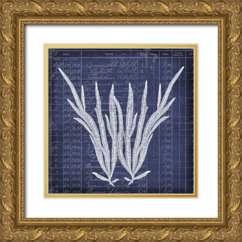 Seaweed Document 1 Gold Ornate Wood Framed Art Print with Double Matting by Robertson, Walter