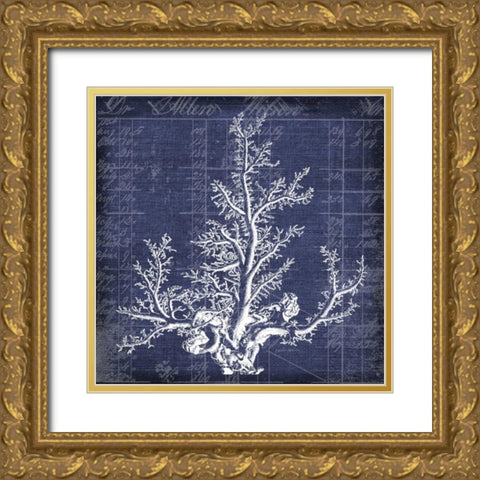 Seaweed Document 2 Gold Ornate Wood Framed Art Print with Double Matting by Robertson, Walter