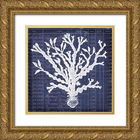 Seaweed Document 4 Gold Ornate Wood Framed Art Print with Double Matting by Robertson, Walter
