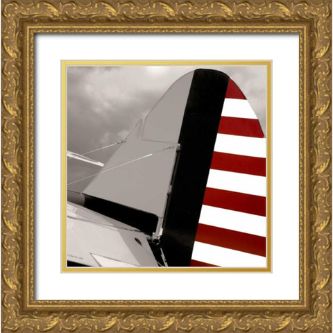 Flight Ready Gold Ornate Wood Framed Art Print with Double Matting by McCarthy, Matt