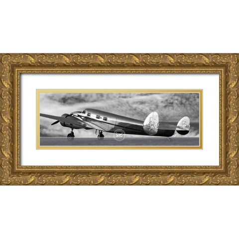 Air Adventure Gold Ornate Wood Framed Art Print with Double Matting by McCarthy, Matt