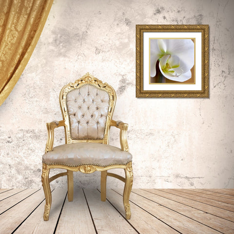 Ivory Orchid Gold Ornate Wood Framed Art Print with Double Matting by Amber Light Gallery