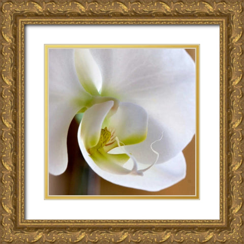 Ivory Orchid Gold Ornate Wood Framed Art Print with Double Matting by Amber Light Gallery