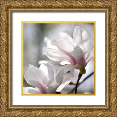 Ivory Magnolia Gold Ornate Wood Framed Art Print with Double Matting by Amber Light Gallery