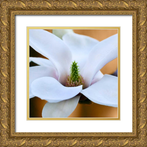 Open Magnolia Gold Ornate Wood Framed Art Print with Double Matting by Amber Light Gallery