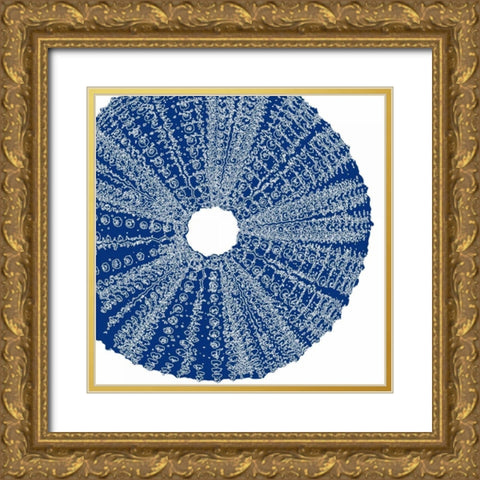 Sepia Shell Life 2 Gold Ornate Wood Framed Art Print with Double Matting by Amber Light Gallery