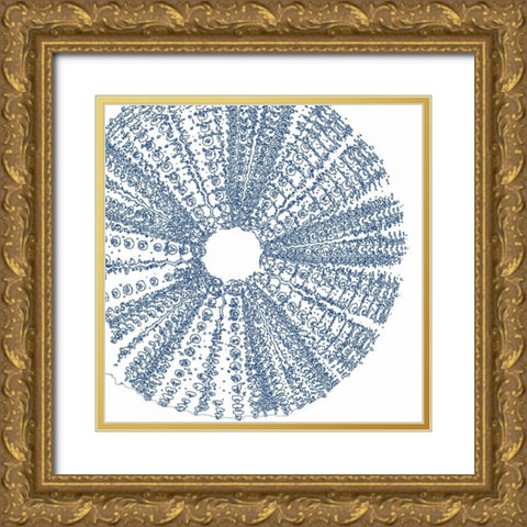 Sepia Shell Life 2 Gold Ornate Wood Framed Art Print with Double Matting by Amber Light Gallery