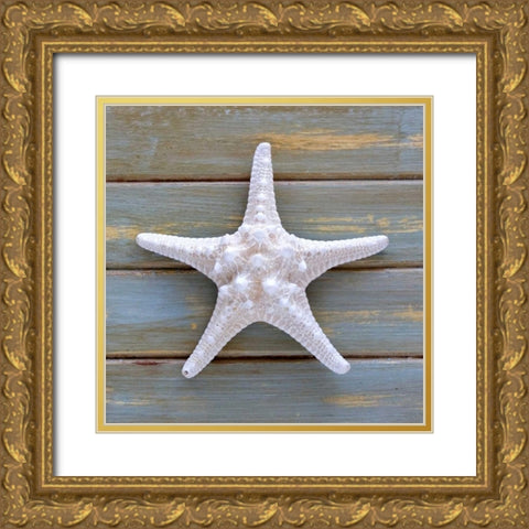 White Starfish  Gold Ornate Wood Framed Art Print with Double Matting by Amber Light Gallery