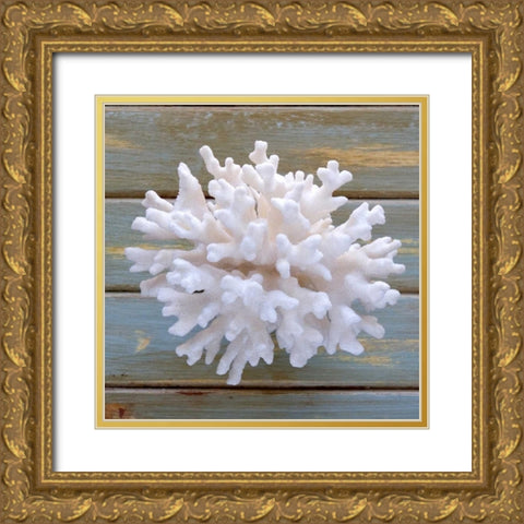 White Coral  Gold Ornate Wood Framed Art Print with Double Matting by Amber Light Gallery