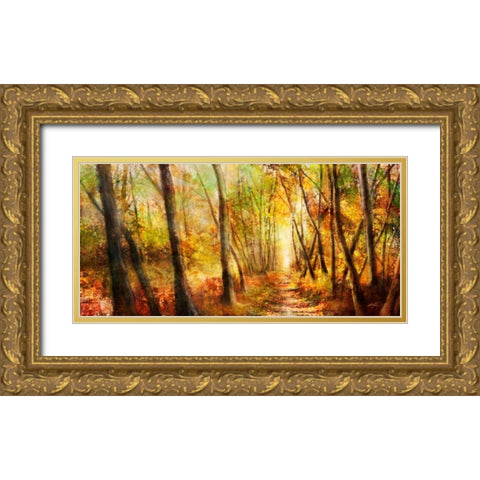 Forest Pathway Gold Ornate Wood Framed Art Print with Double Matting by Roko, Ken