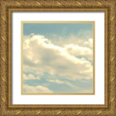 Glorious Sky Gold Ornate Wood Framed Art Print with Double Matting by Dvorak, Vicki