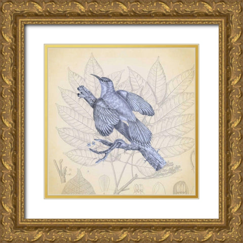 Hummingbird Study 2 Gold Ornate Wood Framed Art Print with Double Matting by James, Christopher