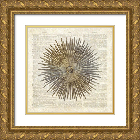 Sea Urchin Pages Gold Ornate Wood Framed Art Print with Double Matting by James, Christopher