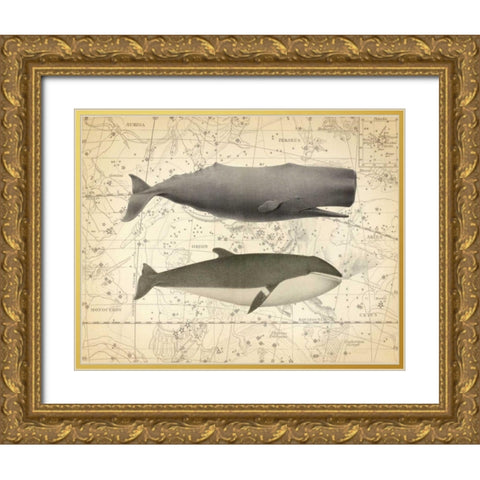 Whale Costellation 1 Gold Ornate Wood Framed Art Print with Double Matting by James, Christopher