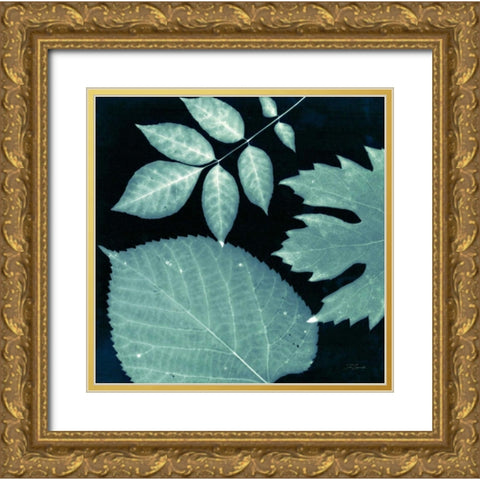Teal Sunprint Leaves Gold Ornate Wood Framed Art Print with Double Matting by Zamudio, Dan