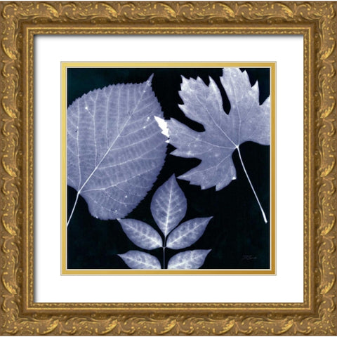 Denim Sunprint Leaves Gold Ornate Wood Framed Art Print with Double Matting by Zamudio, Dan