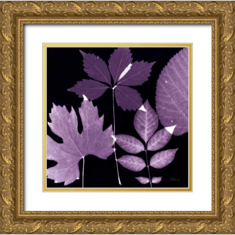Plum Sunprint Leaves Gold Ornate Wood Framed Art Print with Double Matting by Zamudio, Dan