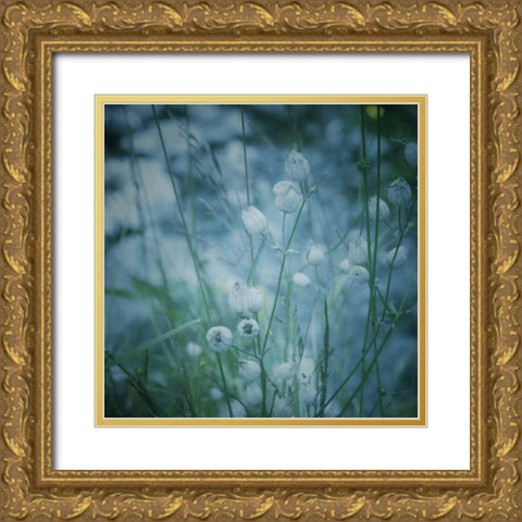 Garden Dreams 5 Gold Ornate Wood Framed Art Print with Double Matting by Hoey, Linda