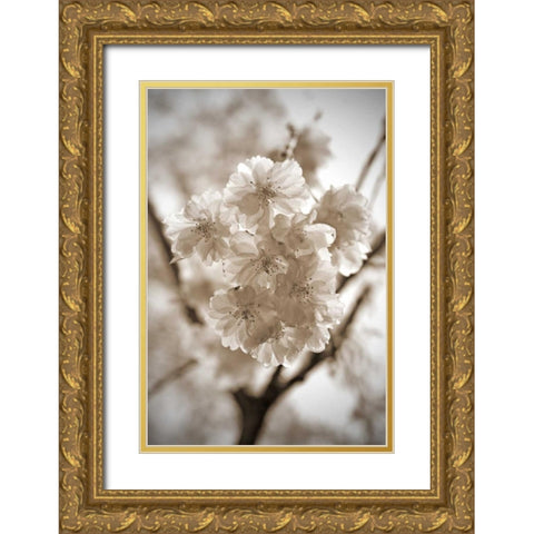 Blossom Twig 2 Gold Ornate Wood Framed Art Print with Double Matting by Semenza, Marlana