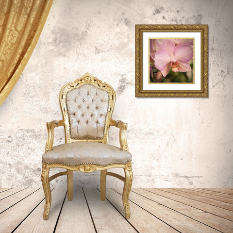 Orchid Romance Gold Ornate Wood Framed Art Print with Double Matting by Sememza, Marlana
